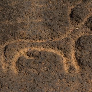 Usgalimal rock engravings