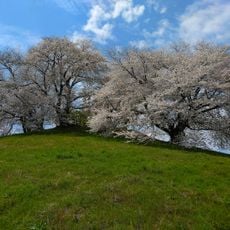 Shiroishi Inariyama Kofun