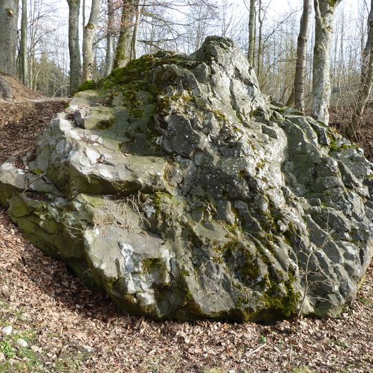 Glacial erratics in Bad Schussenried