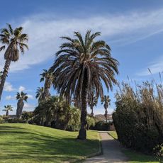 Parc de la Méditerranée