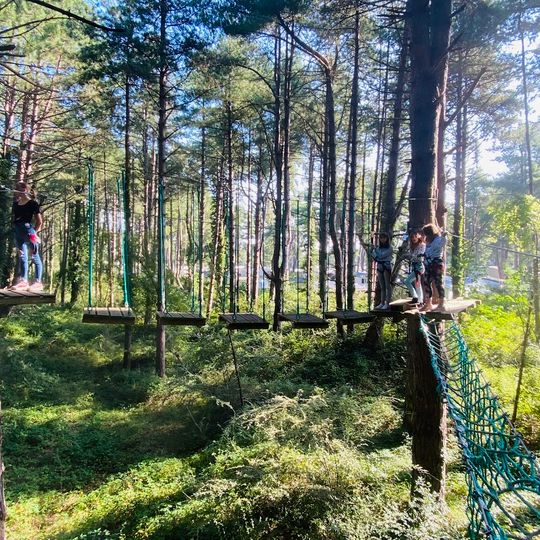 Tree & Adventure