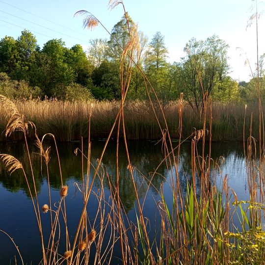 Parco regionale della Valle del Lambro