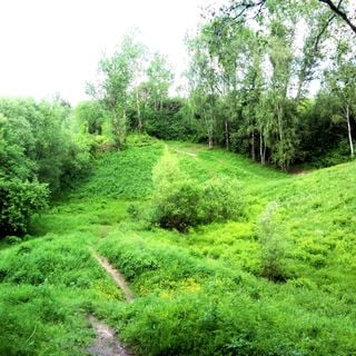 Biryulyovskiy Arboretum