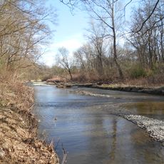Riparian forest of Schwechat river between Tribuswinkel and Traiskirchen
