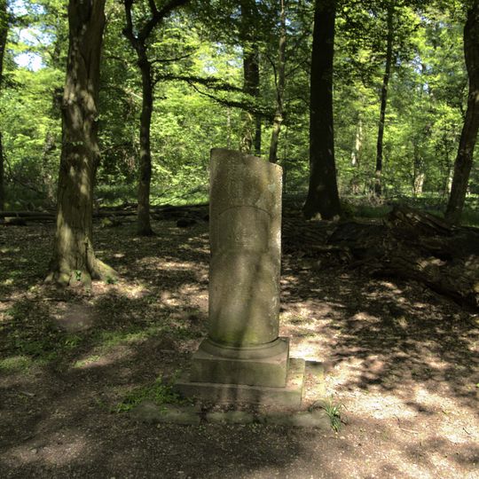 Auenwälder und Feuchtwiesen westlich von Ötigheim