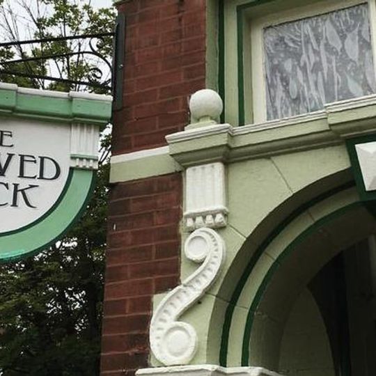 The Shaved Duck