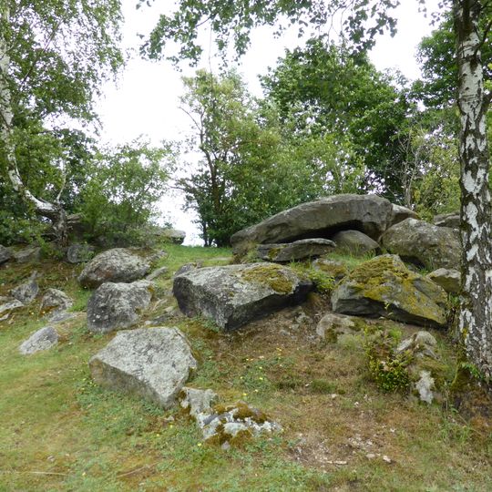 Amphibienvorkommen am Pfahl bei Ried am Pfahl