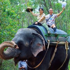 Carmelagiri Elephant Park