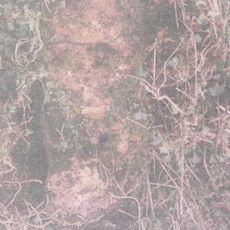 Milestone, Castle Hill, S of Shepton Montague