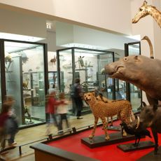 Museum–aquarium of Nancy