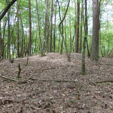 Grafheuvel Monnikenbosch