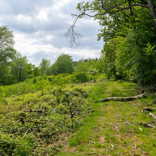 Talbereich am Sperlberg