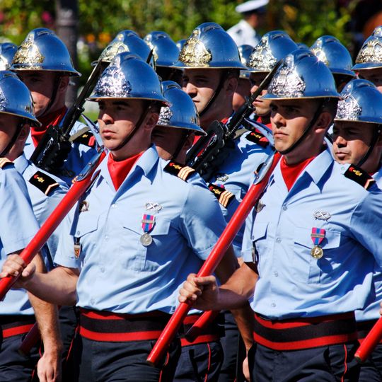 Paris Fire Brigade