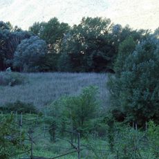 Palù di Borghetto