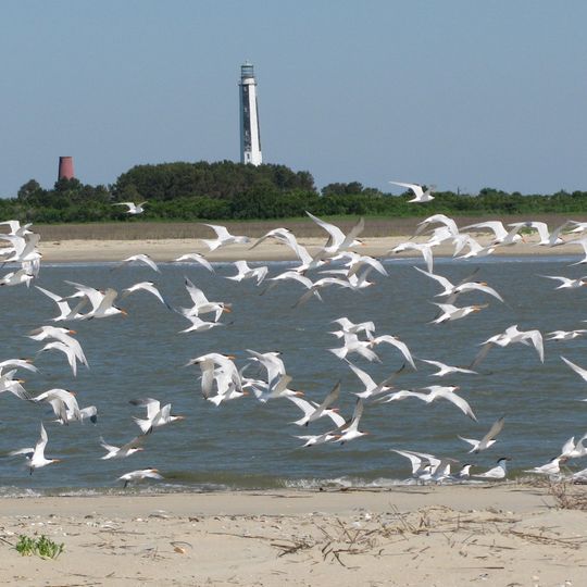 Cape Romain National Wildlife Refuge