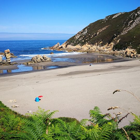 Playa de Requexinos