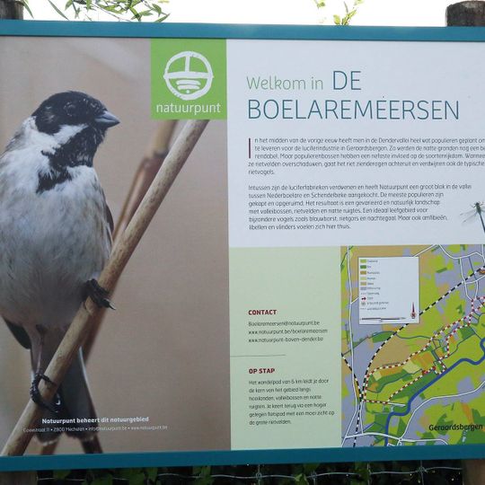 Boelaremeersen