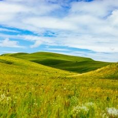 Kitulo nationalpark