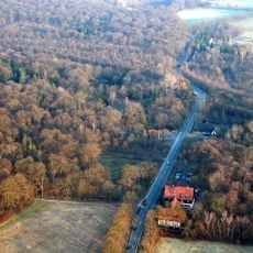 Grüner Jäger (Braunschweig)