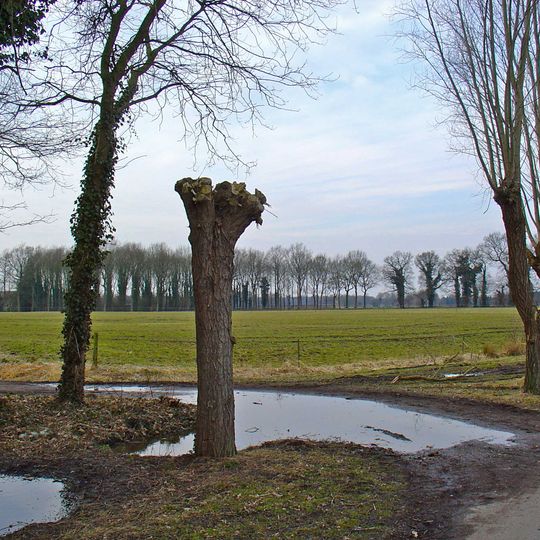 Terrein van de voormalige Entinge