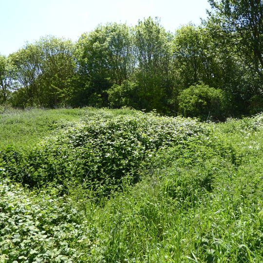 Gedgrave Hall Pit