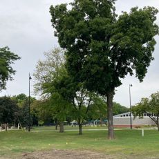Harrer Park