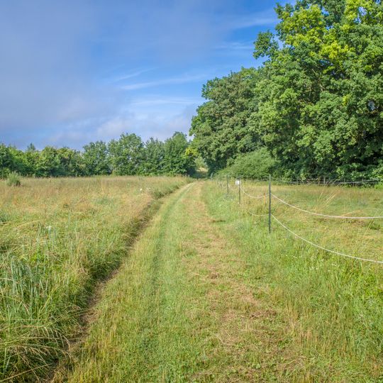 Dürrfelder und Sulzheimer Wald