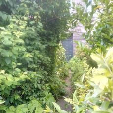 Edinburgh, 23 Comely Bank