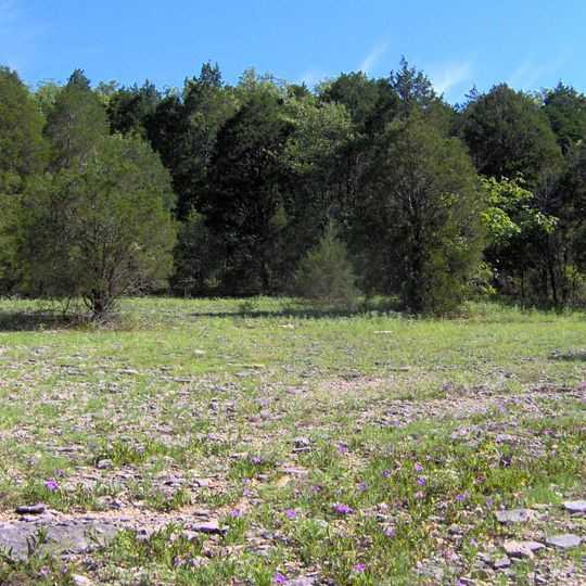 Cedars of Lebanon State Park