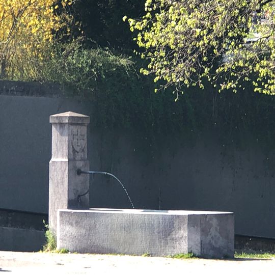 Brnnen beim Triemliplatz