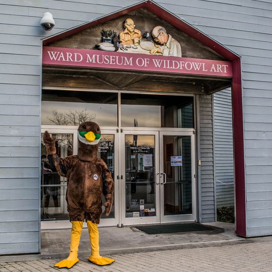 Ward Museum of Wildfowl Art