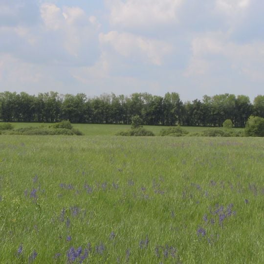 Michael's Virgin Land Nature Reserve