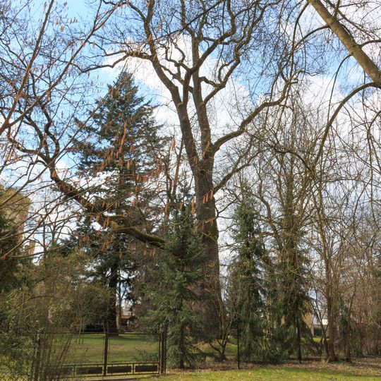 Jasan ve Skřivanech