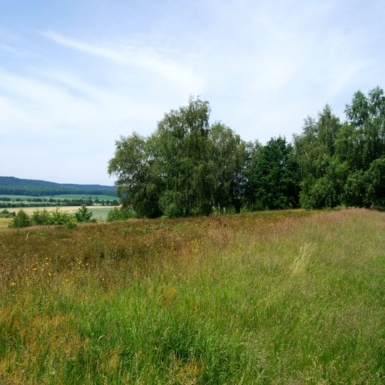 Schwarze Heide