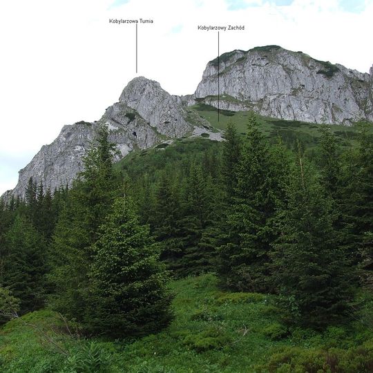 Nisza w Kobylarzowej Turni