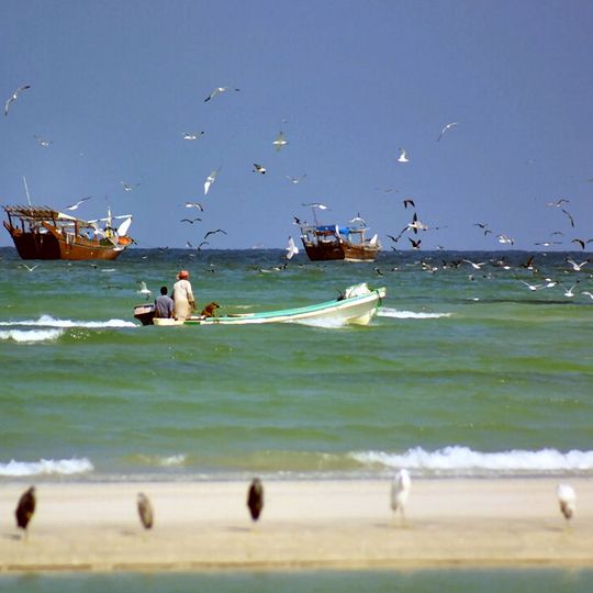 Governatorato di al-Wusta