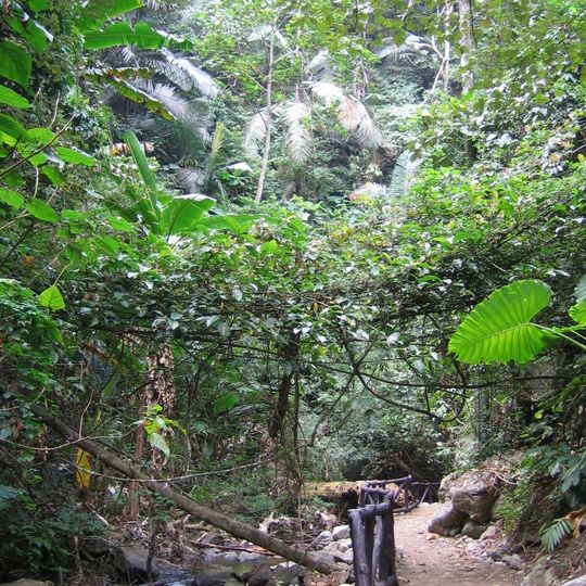 Tat Mok National Park
