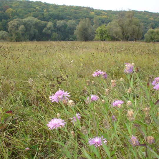 Середньодонецький заказник