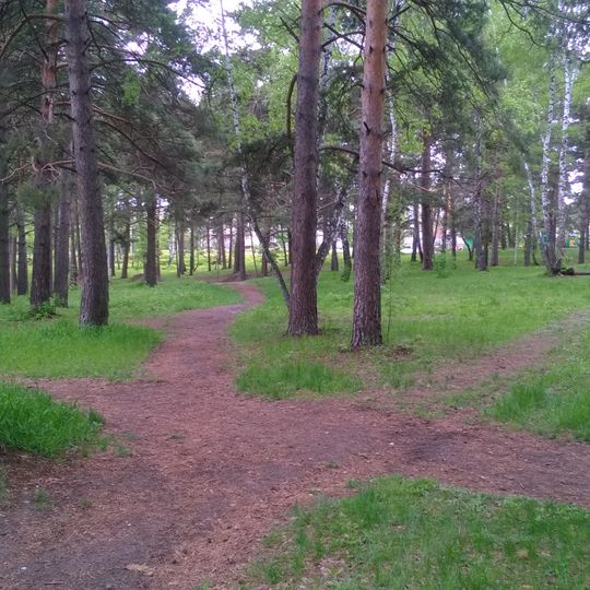 У моря Обского