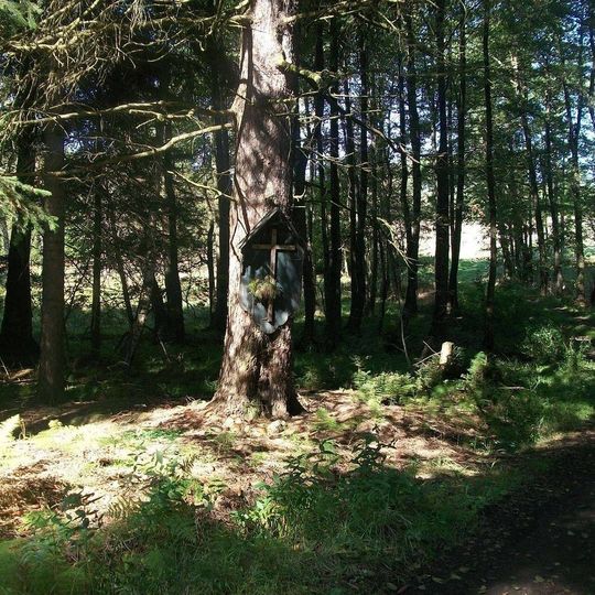 Kříž na stromě u Lipí