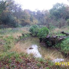 Riverside Walk, Virginia Water