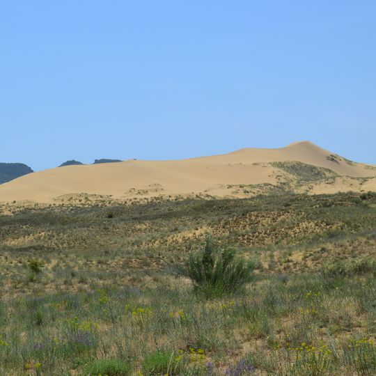Sarykum