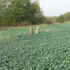 Menhiry v poli severozápadně od Droužkovic