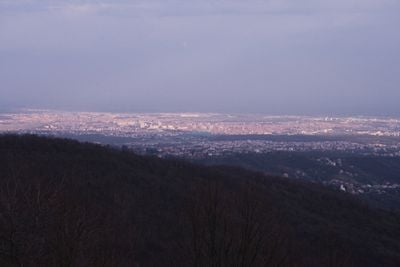 The view 1