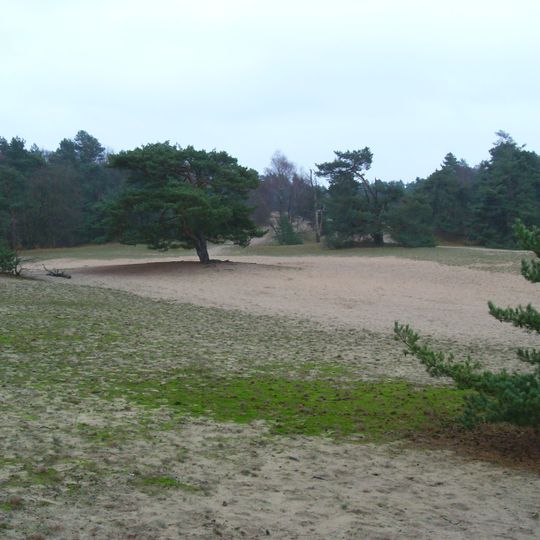 Dünengebiet bei Neumühlen