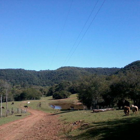 São Francisco de Assis