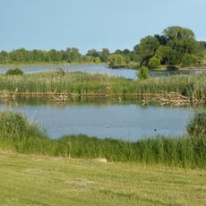 Donauauen bei Stadldorf