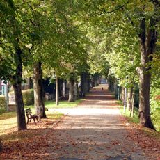Lindenallee "Schöner Graben"