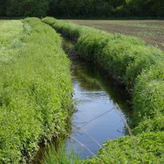 Am (Bucher) Landgraben