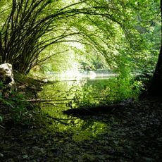 Riserva locale Laghetti Soi